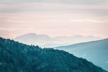 重疾險(xiǎn)多長(zhǎng)時(shí)間后有效