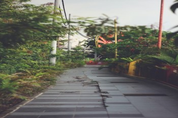 健康險(xiǎn)和壽險(xiǎn)有什么區(qū)別