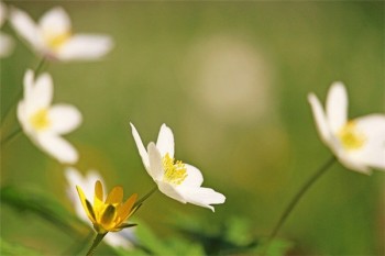 壽險(xiǎn)是消費(fèi)險(xiǎn)的嗎