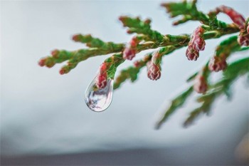 恒安保險(xiǎn)重疾險(xiǎn)