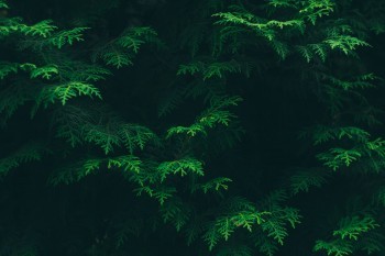 百年鑫越人生終身壽險(xiǎn)條款，適合哪些人群購(gòu)買？