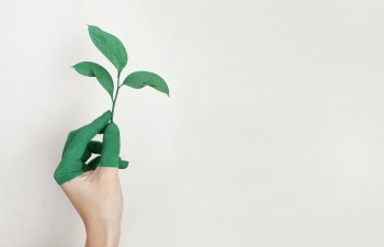 上海人壽大蘑菇定壽值得購買嗎？有哪些優(yōu)缺點？