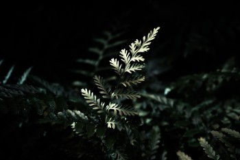 <a href=