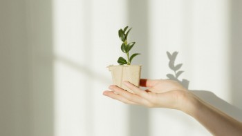 買了太平洋保險想退保怎么辦？怎么讓損失最小化？