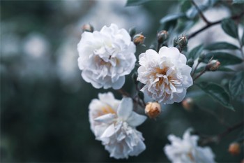太平洋保險(xiǎn)<a href=
