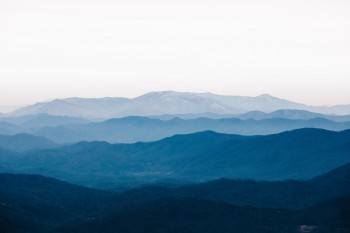 太平洋保險(xiǎn)怎么退保？流程是什么？