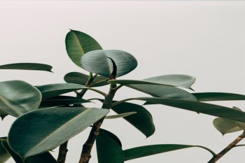 重疾險怎么買?要多少錢?