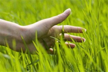 醫(yī)保通和重疾險(xiǎn)的區(qū)別
