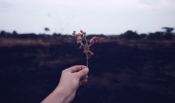 太平洋退保費(fèi)能退多少？后悔退保了怎么辦？