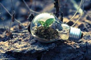 太平洋退保險(xiǎn)能收回多少本金？怎么樣才能全額退保？