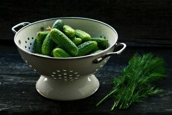 國富人壽定海柱1號多少錢？在哪買？