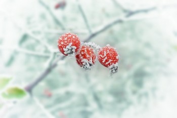 重疾險(xiǎn)繳費(fèi)期滿返還保費(fèi)，保障終身