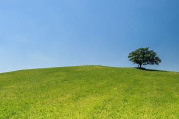 孩子買終身重疾險好還是定期重疾險好