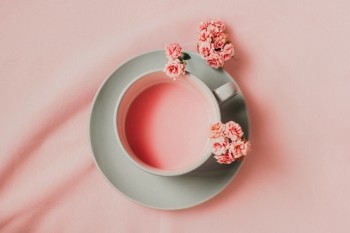 重疾險(xiǎn)與住院醫(yī)療險(xiǎn)有什么不同
