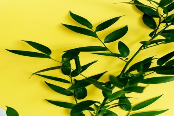新規(guī)以前買(mǎi)的重疾險(xiǎn)擇優(yōu)理賠需要