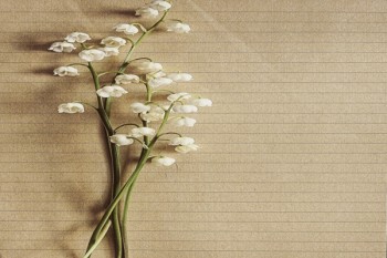 重疾險(xiǎn)只能買一個(gè)嗎