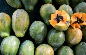 太平人壽e養(yǎng)添年在哪兒買？需要購(gòu)買嗎？