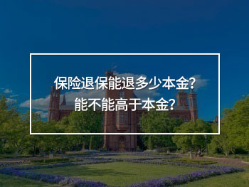 保險(xiǎn)退保能退多少本金？能不能高于本金？