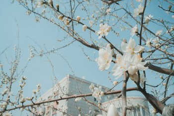 <a href=