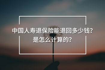 中國人壽退保險能退回多少錢？是怎么計(jì)算的？