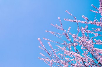 重疾險(xiǎn)保終身的還能返回本金嗎