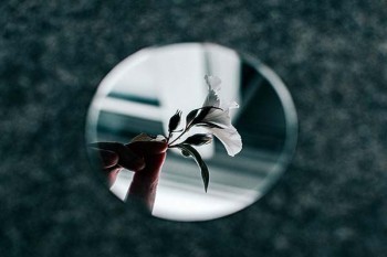 為什么都退保險？什么情況可以退保險？