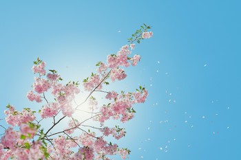 幫退保人全額退保違法嗎？要有證據(jù)嗎？