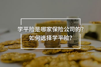 學(xué)平險(xiǎn)是哪家保險(xiǎn)公司的