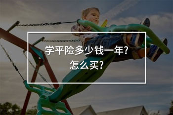 學平險多少錢一年