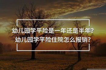 幼兒園學(xué)平險(xiǎn)是一年還是半年