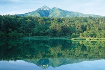 大地保險學(xué)平險100元