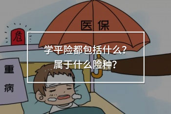 學平險都包括什么