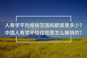 人壽學平險報銷范圍和額度