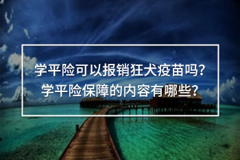 學(xué)平險可以報銷狂犬疫苗嗎