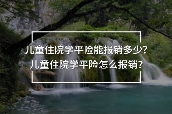 兒童住院學(xué)平險能報銷多少