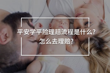 平安學(xué)平險(xiǎn)理賠流程