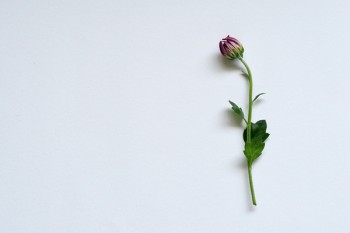 重疾險最高賠付多少