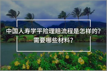 中國(guó)人壽學(xué)平險(xiǎn)理賠流程