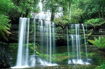 學(xué)平險(xiǎn)和醫(yī)保哪個(gè)報(bào)銷多