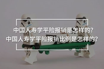 中國(guó)人壽學(xué)平險(xiǎn)報(bào)銷(xiāo)比例