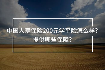 中國人壽保險(xiǎn)200元學(xué)平險(xiǎn)
