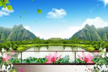 成都學(xué)平險報銷比例是多少