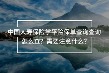 中國人壽保險學平險保單查詢