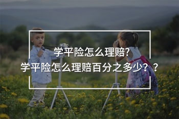 學平險怎么理賠百分之多少