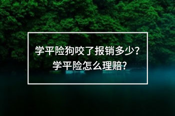 學平險狗咬了報銷多少