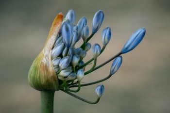 重疾險(xiǎn)新規(guī)和舊規(guī)有什么區(qū)別