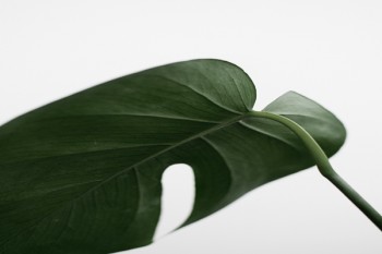 重疾險和醫(yī)療險有必要同時買嗎