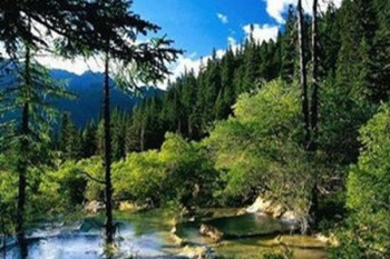 學(xué)平險(xiǎn)的投保年齡范圍