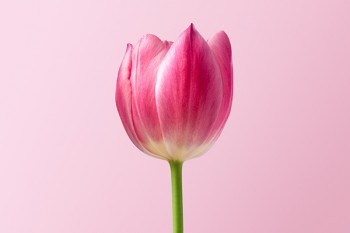 眾安尊享e生優(yōu)甲版一年投多少比較好？夠不夠保障？