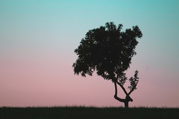 住院無憂保障計(jì)劃（續(xù)保版）怎么買？適合誰來買？
